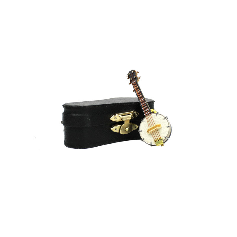 BANJO PIN WITH CASE
