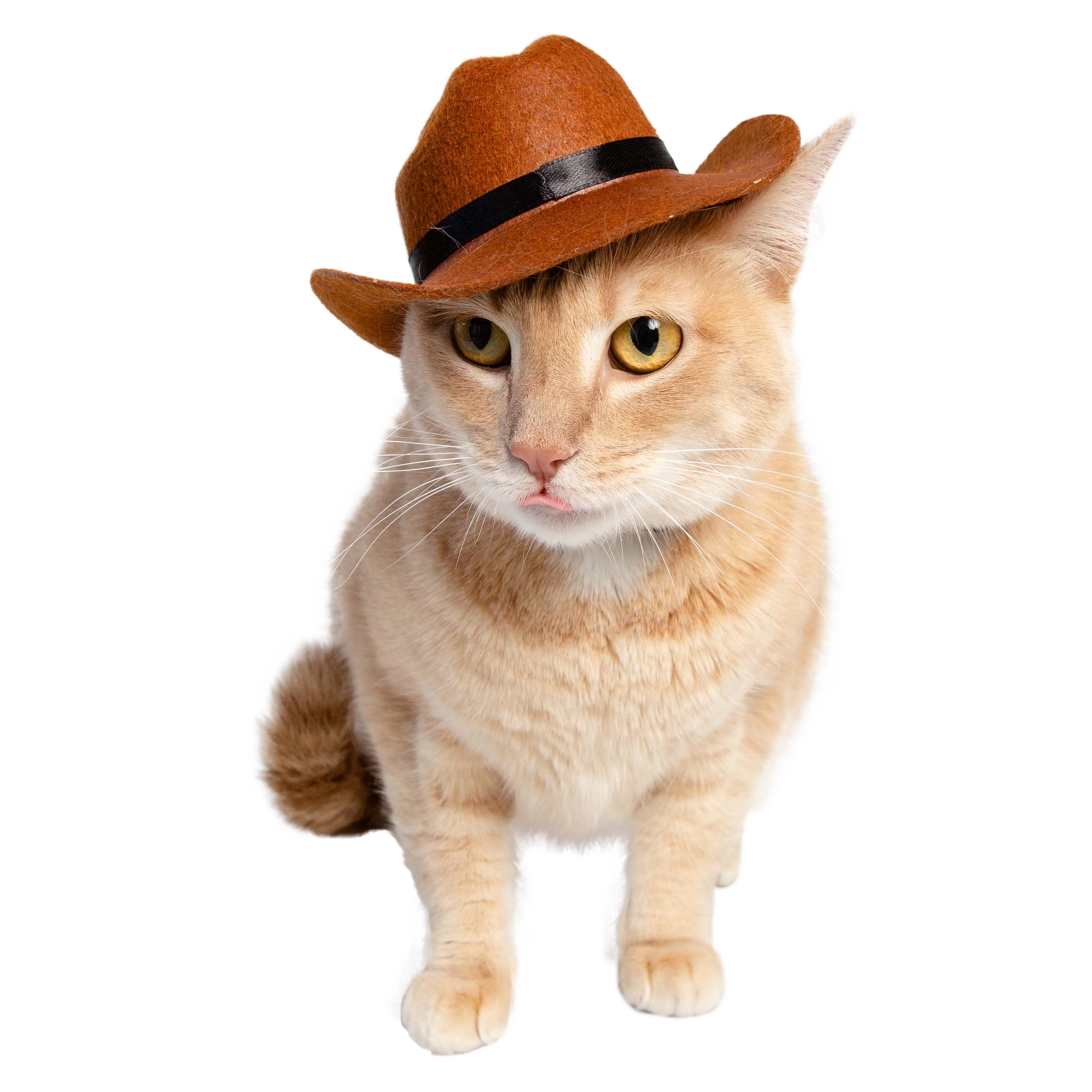 PET COWBOY HAT COSTUME - Image 3