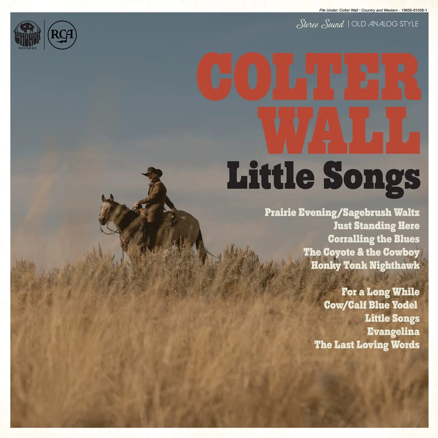 COLTER WALL: LITTLE SONGS VINYL LP