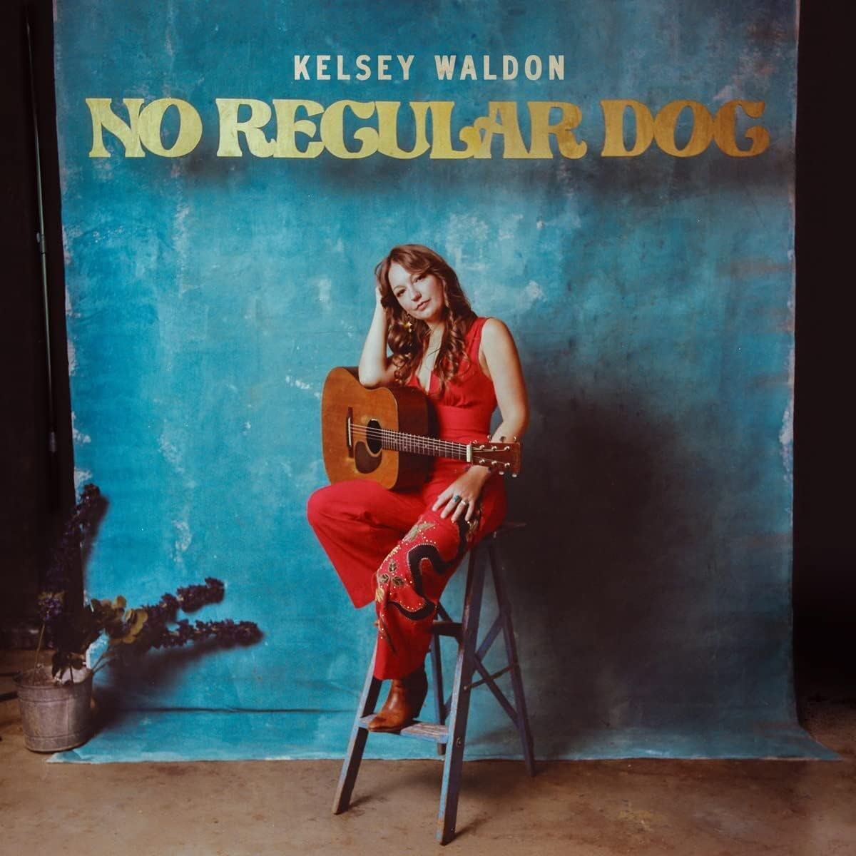 KELSEY WALDON: NO REGULAR DOG VINYL LP