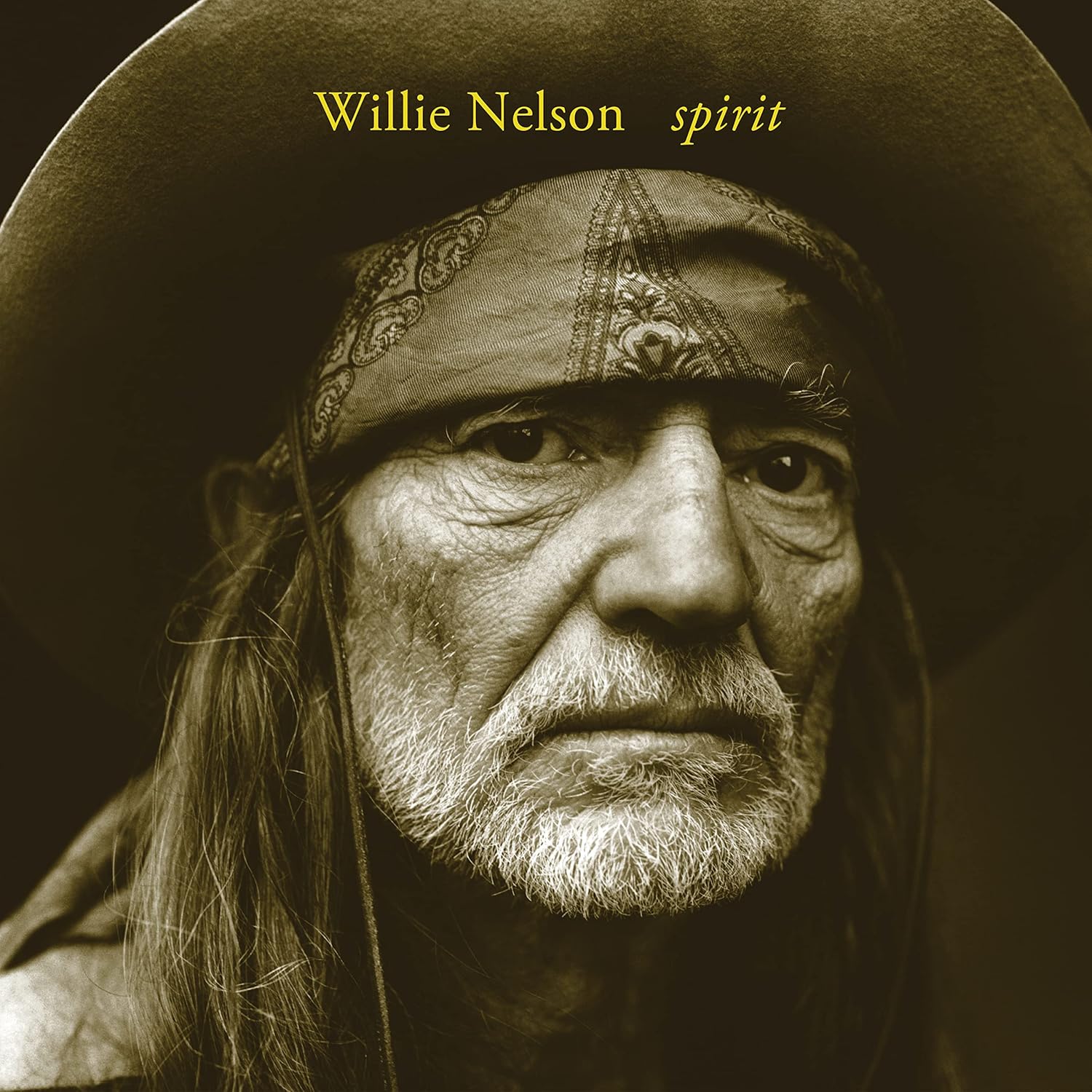 WILLIE NELSON: SPIRIT VINYL LP