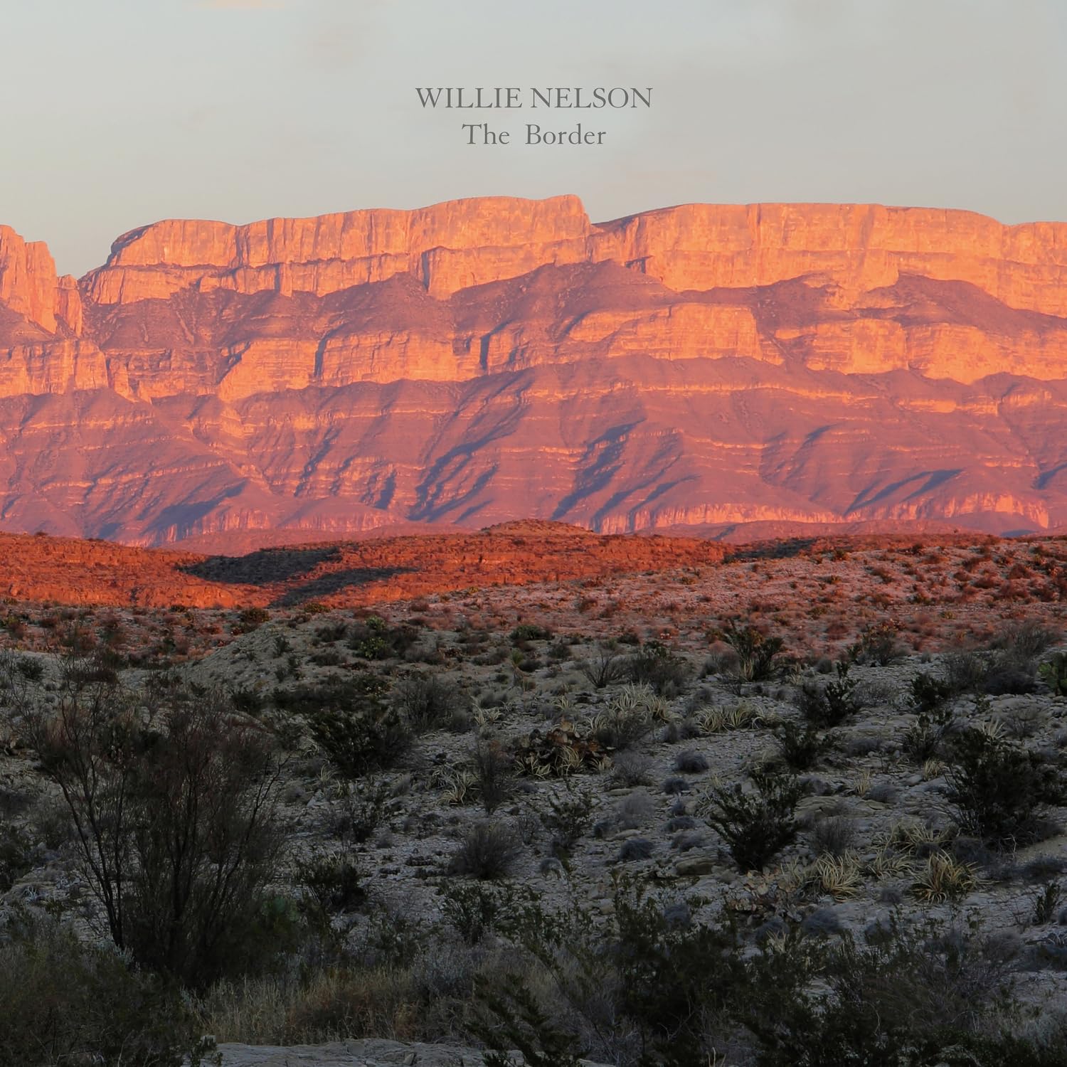 WILLIE NELSON: THE BORDER VINYL LP