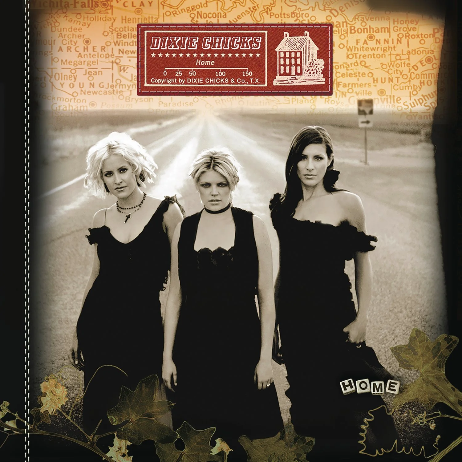 The Chicks: Home Vinyl LP